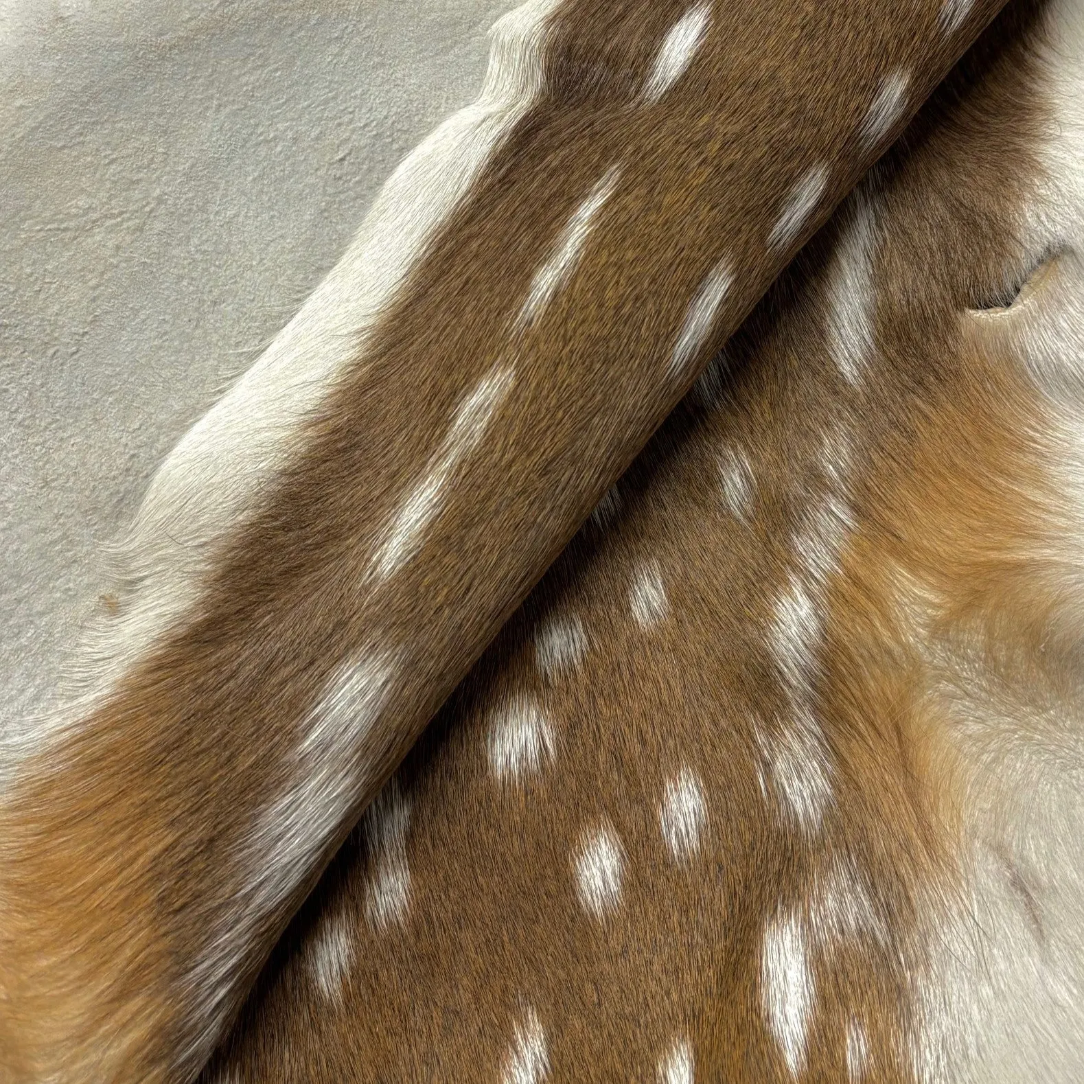 Axis Deer Hide | Grade 1 & Extra Large