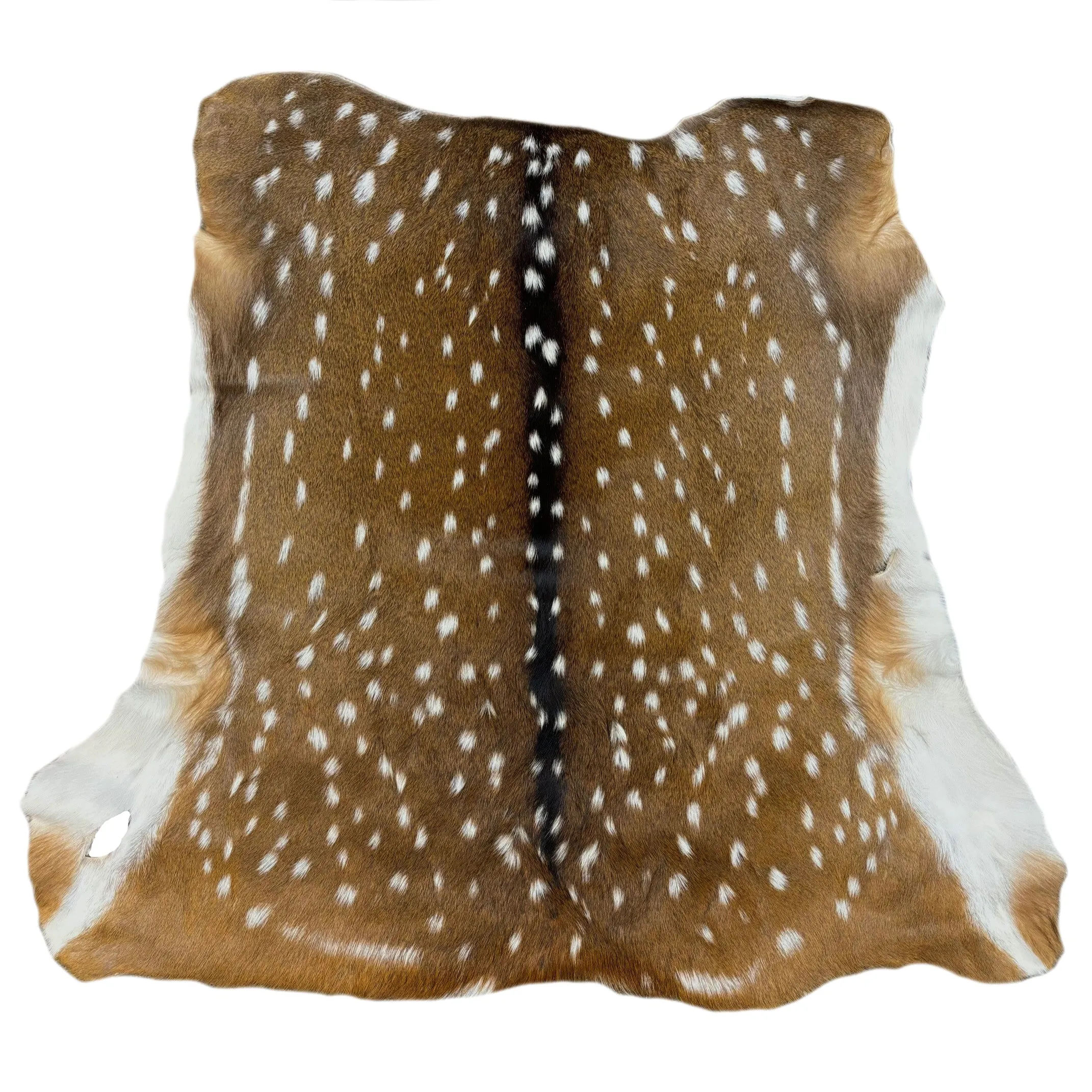 Axis Deer Hide | Grade 1 & Extra Large